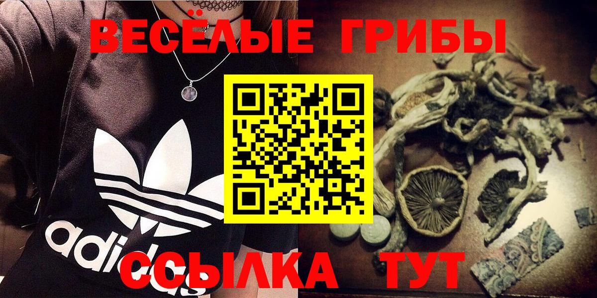 наркота  Псилоцибиновые грибы MAGIC MUSHROOMS  Гурьевск  Вход с VPN  Псилоцибиновые грибы Magic Shrooms 