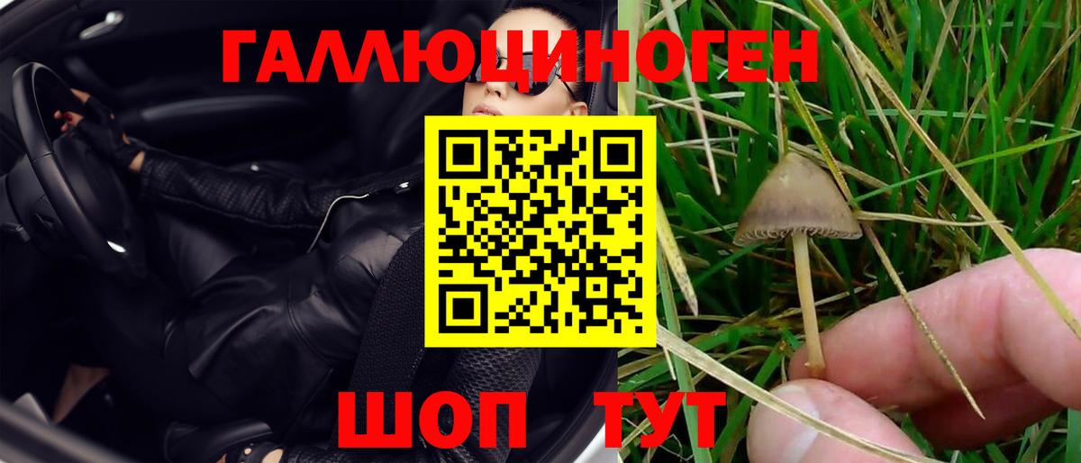 Псилоцибиновые грибы мицелий Гурьевск